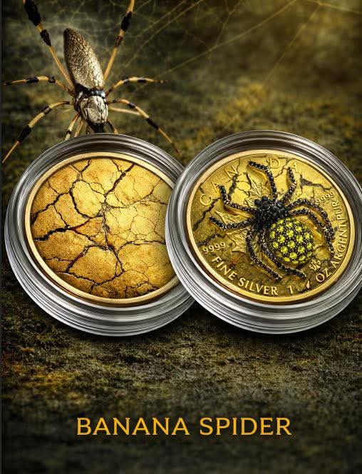 1oz Pure Silver Coin Banana Spider