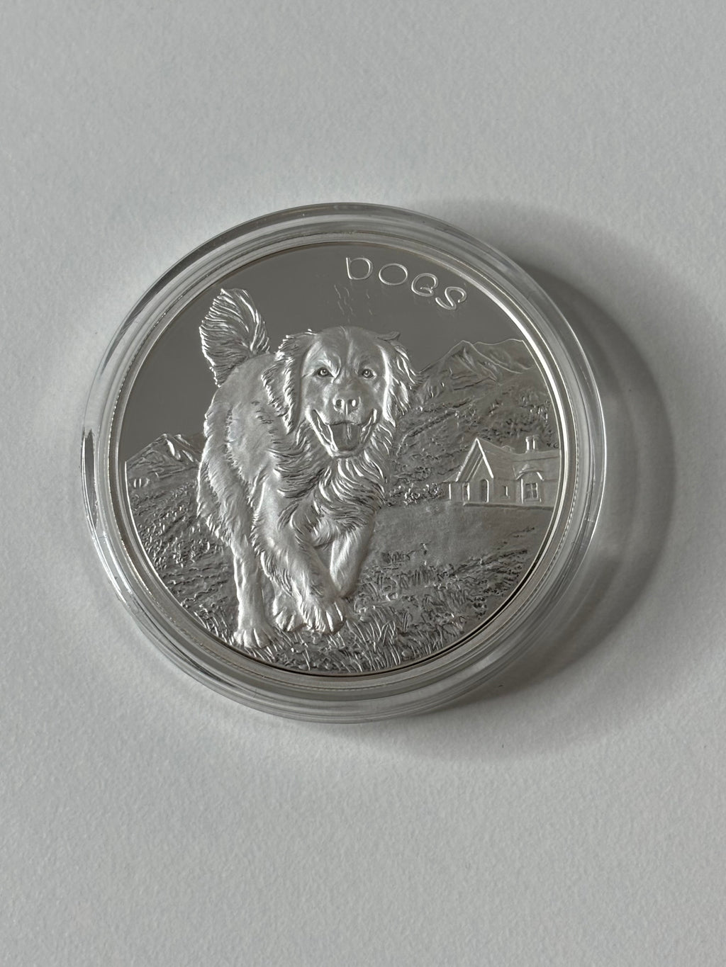 1oz Silver Dogs Coin