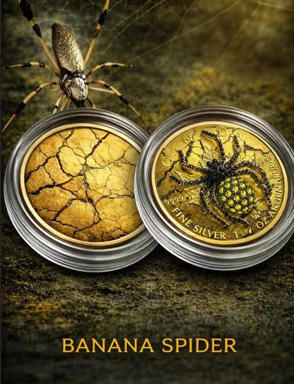 1oz Pure Silver Coin Banana Spider